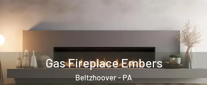Gas Fireplace Embers Beltzhoover - PA