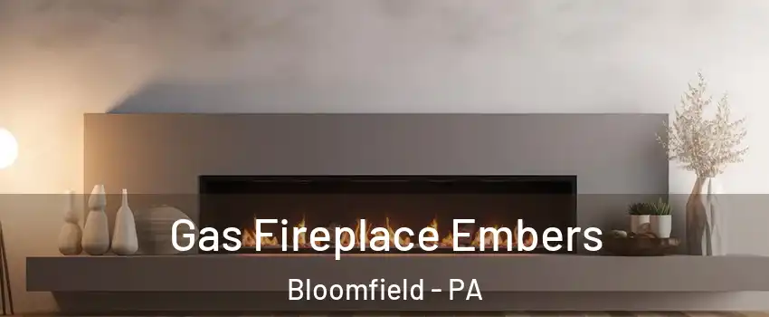 Gas Fireplace Embers Bloomfield - PA
