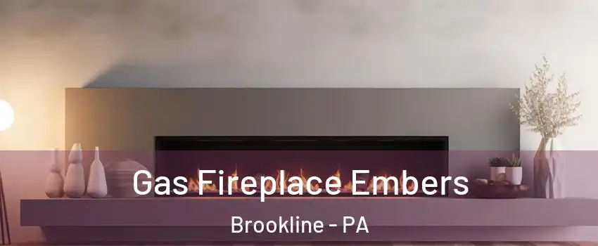 Gas Fireplace Embers Brookline - PA