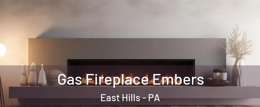 Gas Fireplace Embers East Hills - PA