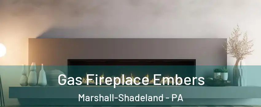 Gas Fireplace Embers Marshall-Shadeland - PA