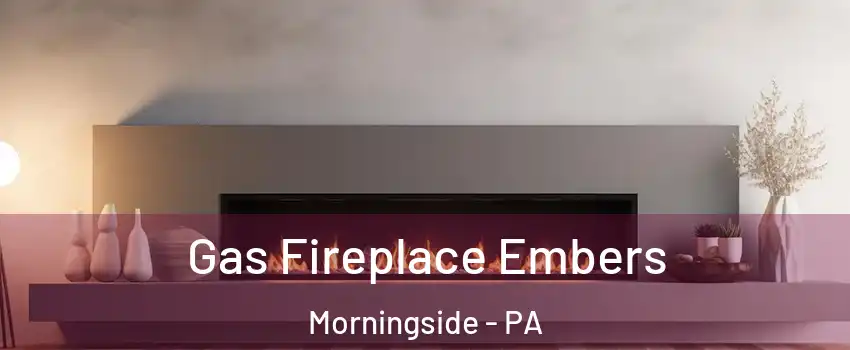 Gas Fireplace Embers Morningside - PA