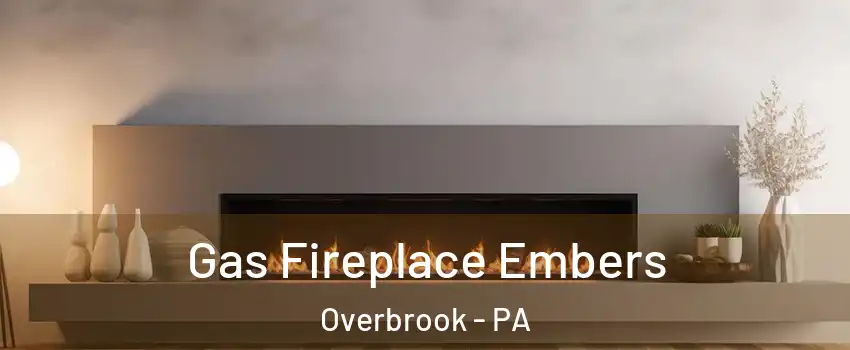 Gas Fireplace Embers Overbrook - PA