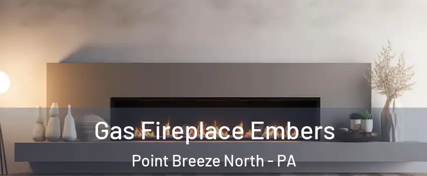 Gas Fireplace Embers Point Breeze North - PA