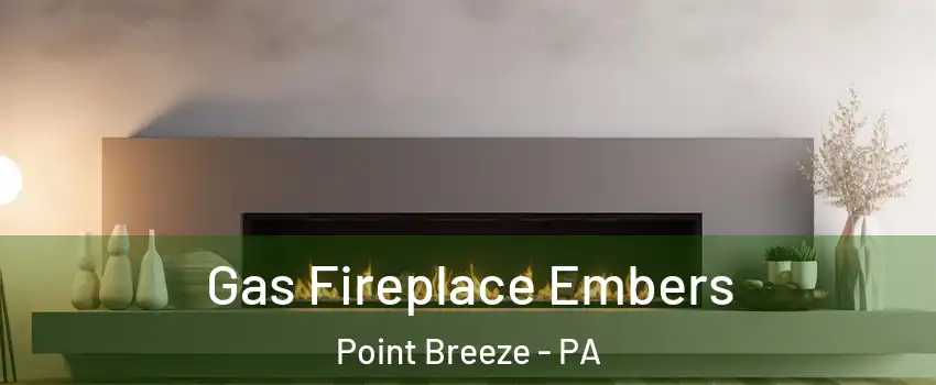Gas Fireplace Embers Point Breeze - PA