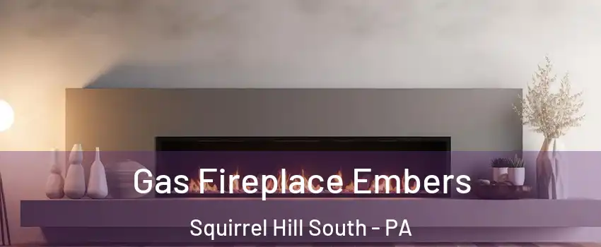 Gas Fireplace Embers Squirrel Hill South - PA