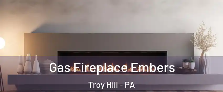 Gas Fireplace Embers Troy Hill - PA