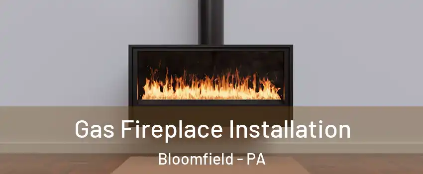 Gas Fireplace Installation Bloomfield - PA