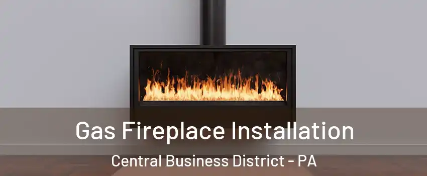 Gas Fireplace Installation Central Business District - PA