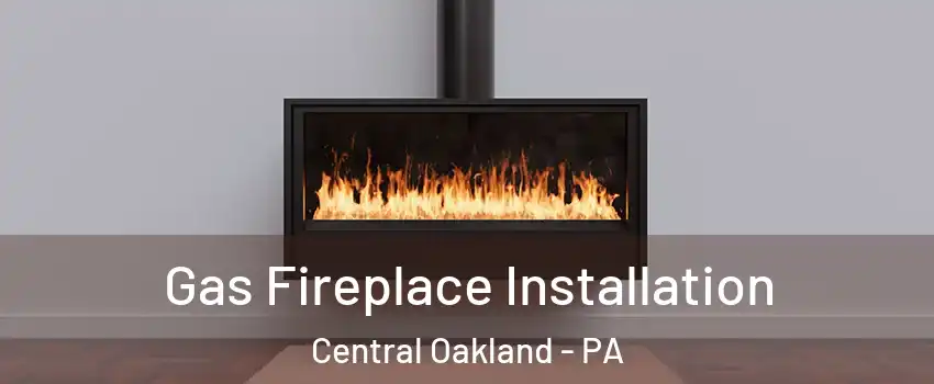 Gas Fireplace Installation Central Oakland - PA