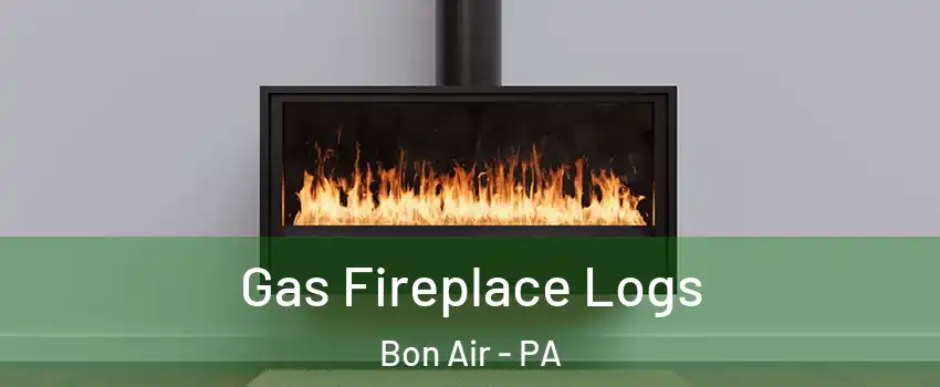 Gas Fireplace Logs Bon Air - PA