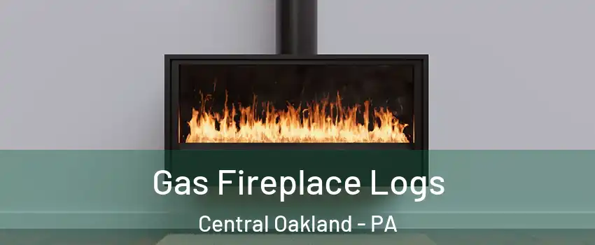Gas Fireplace Logs Central Oakland - PA