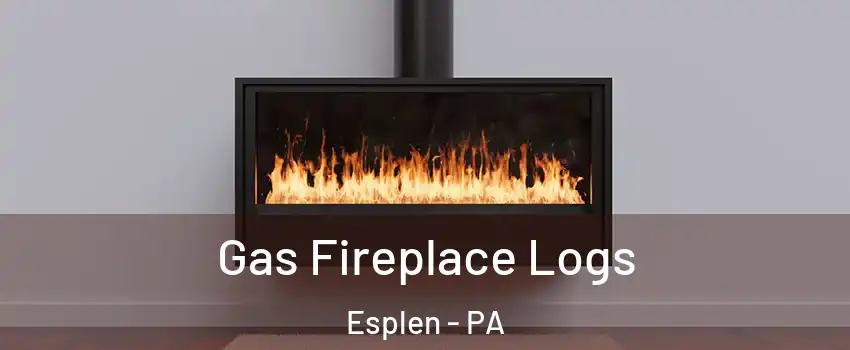 Gas Fireplace Logs Esplen - PA