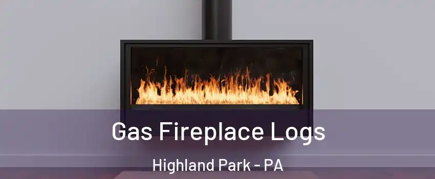 Gas Fireplace Logs Highland Park - PA