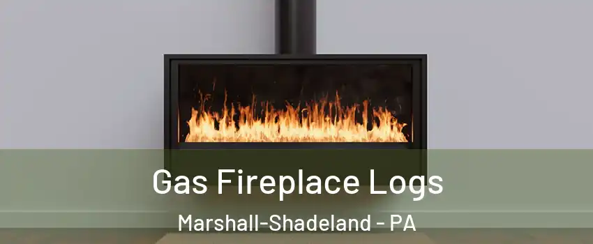 Gas Fireplace Logs Marshall-Shadeland - PA