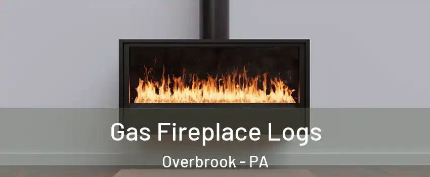Gas Fireplace Logs Overbrook - PA