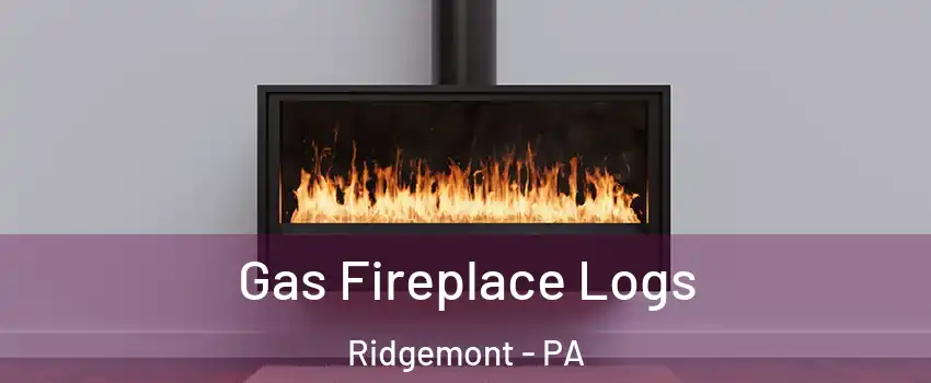 Gas Fireplace Logs Ridgemont - PA
