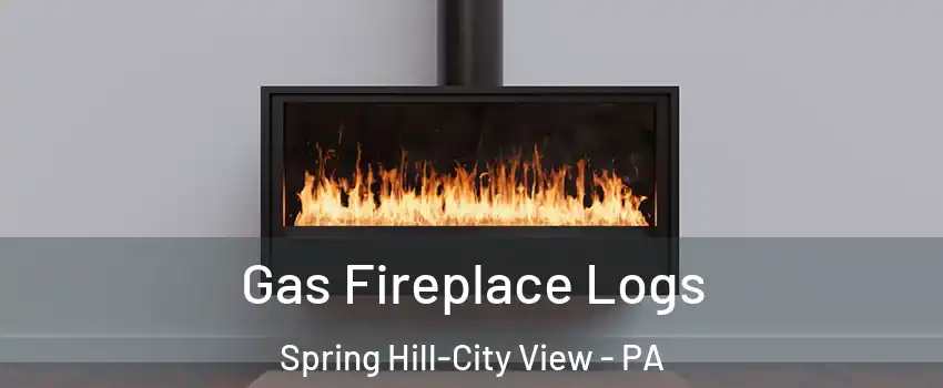 Gas Fireplace Logs Spring Hill-City View - PA