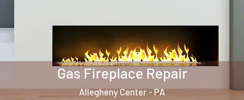 Gas Fireplace Repair Allegheny Center - PA