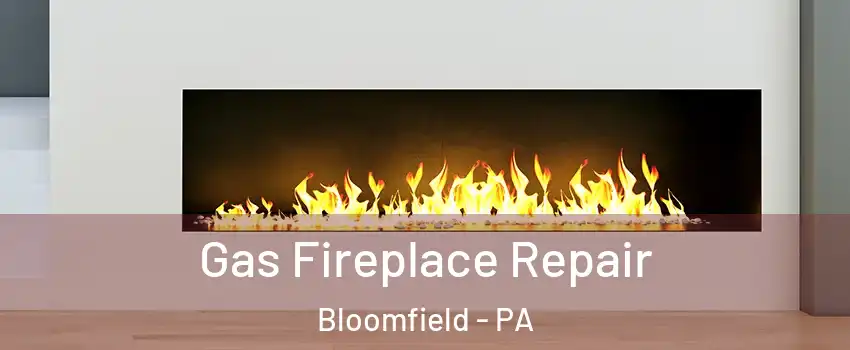 Gas Fireplace Repair Bloomfield - PA
