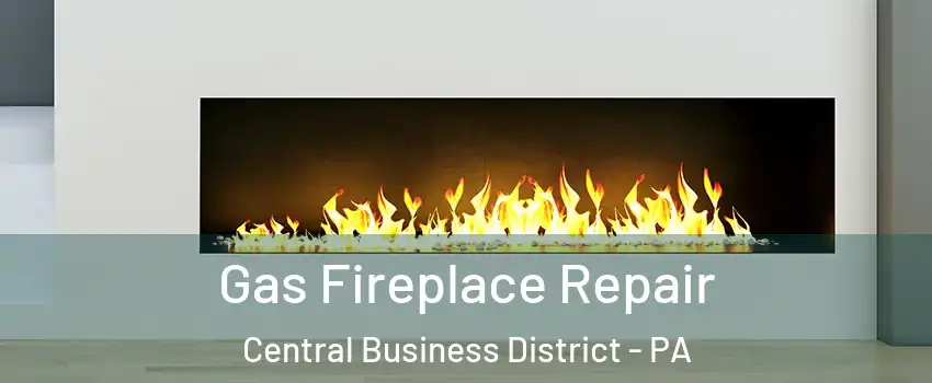 Gas Fireplace Repair Central Business District - PA