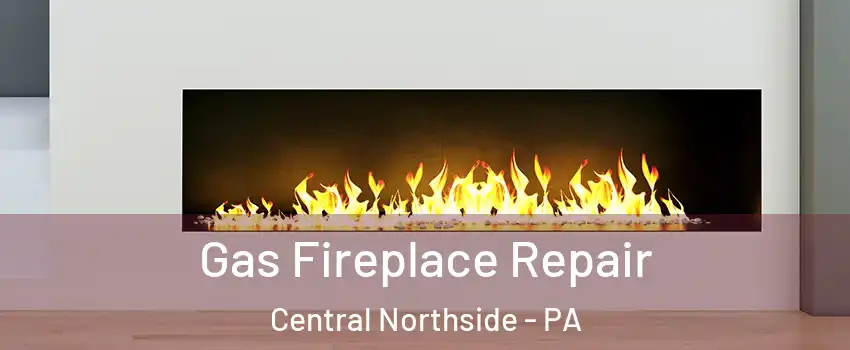 Gas Fireplace Repair Central Northside - PA