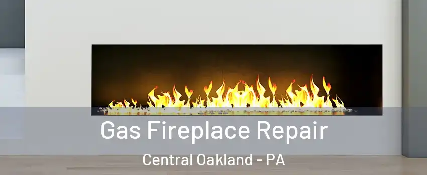 Gas Fireplace Repair Central Oakland - PA