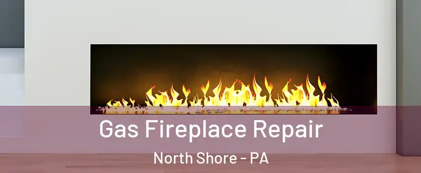 Gas Fireplace Repair North Shore - PA