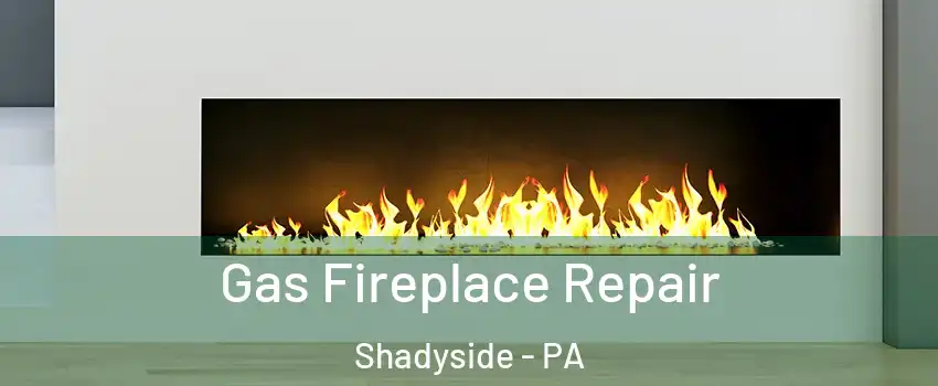 Gas Fireplace Repair Shadyside - PA