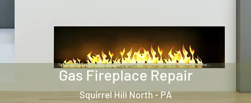Gas Fireplace Repair Squirrel Hill North - PA