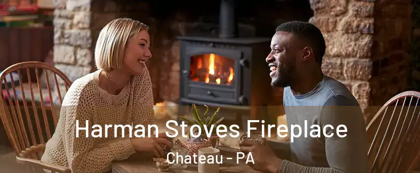Harman Stoves Fireplace Chateau - PA
