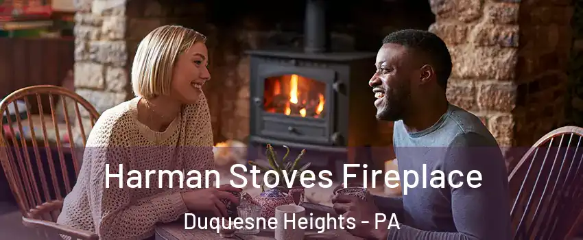 Harman Stoves Fireplace Duquesne Heights - PA