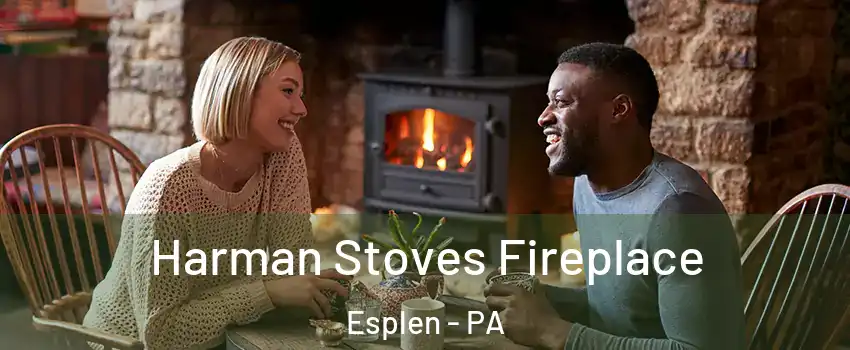 Harman Stoves Fireplace Esplen - PA