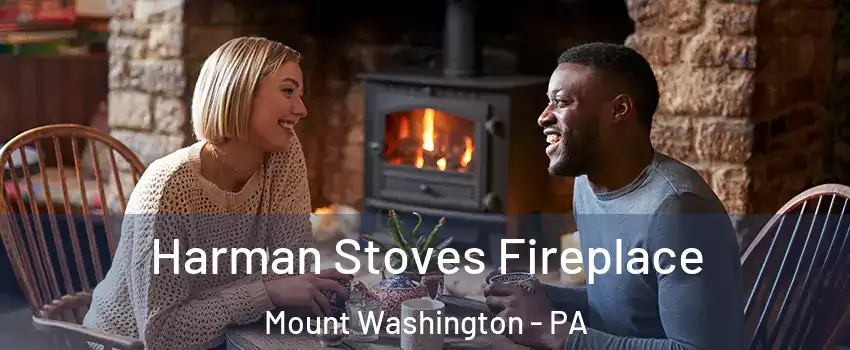 Harman Stoves Fireplace Mount Washington - PA
