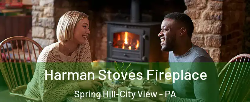 Harman Stoves Fireplace Spring Hill-City View - PA