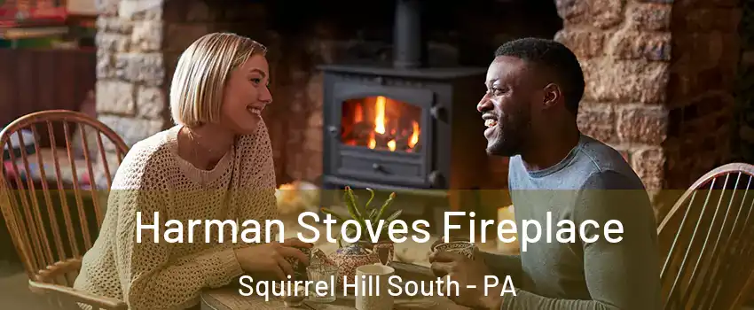 Harman Stoves Fireplace Squirrel Hill South - PA