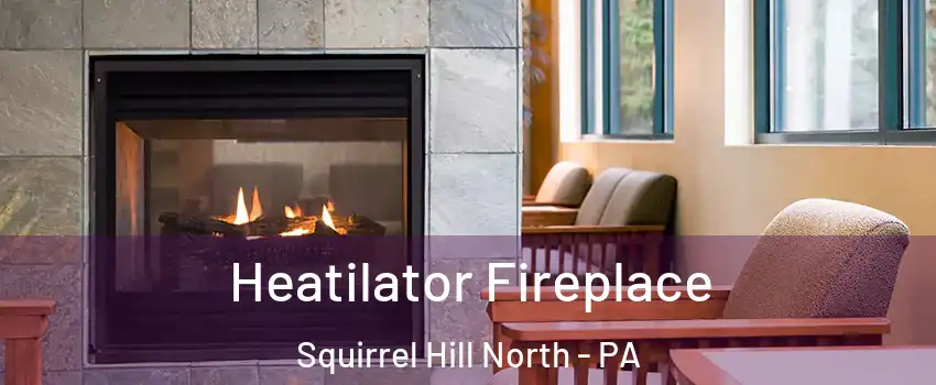 Heatilator Fireplace Squirrel Hill North - PA