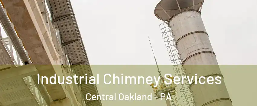 Industrial Chimney Services Central Oakland - PA