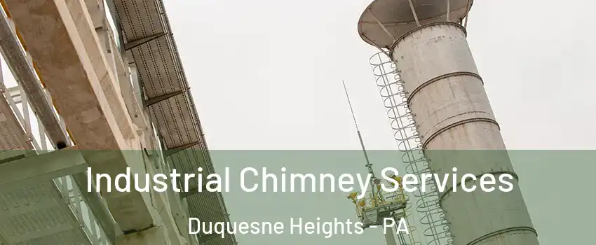 Industrial Chimney Services Duquesne Heights - PA