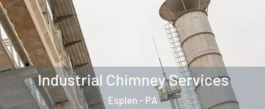 Industrial Chimney Services Esplen - PA