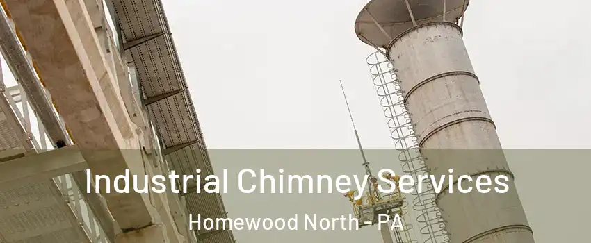 Industrial Chimney Services Homewood North - PA