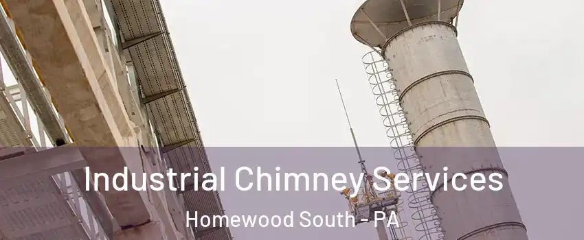 Industrial Chimney Services Homewood South - PA