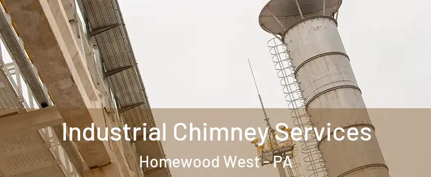 Industrial Chimney Services Homewood West - PA