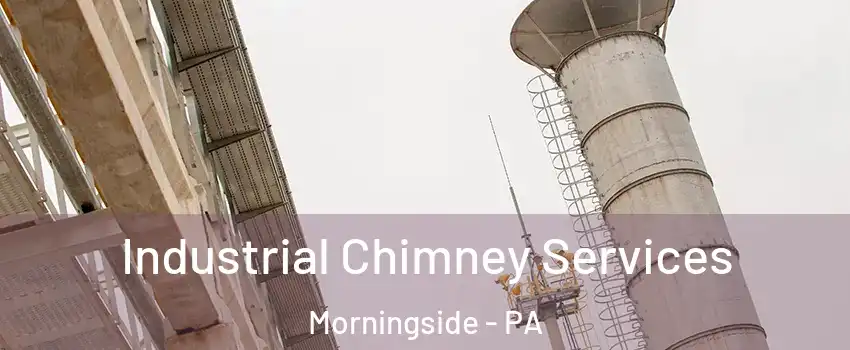 Industrial Chimney Services Morningside - PA