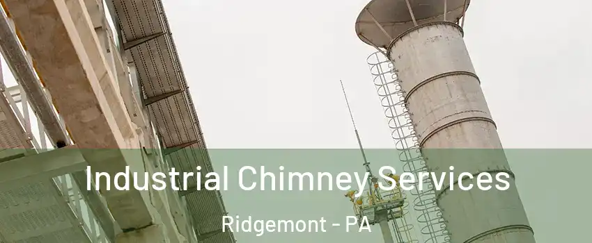 Industrial Chimney Services Ridgemont - PA