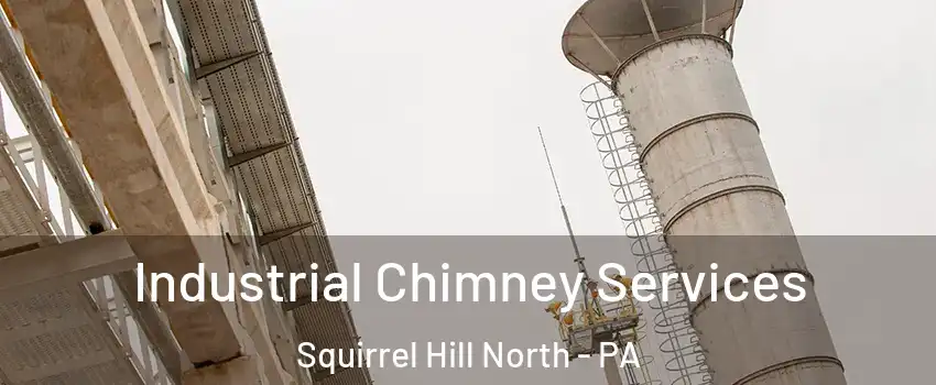 Industrial Chimney Services Squirrel Hill North - PA