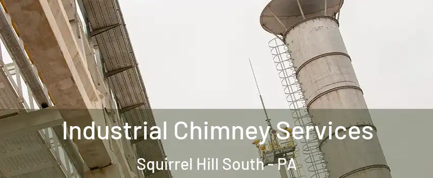 Industrial Chimney Services Squirrel Hill South - PA
