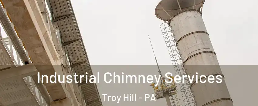 Industrial Chimney Services Troy Hill - PA