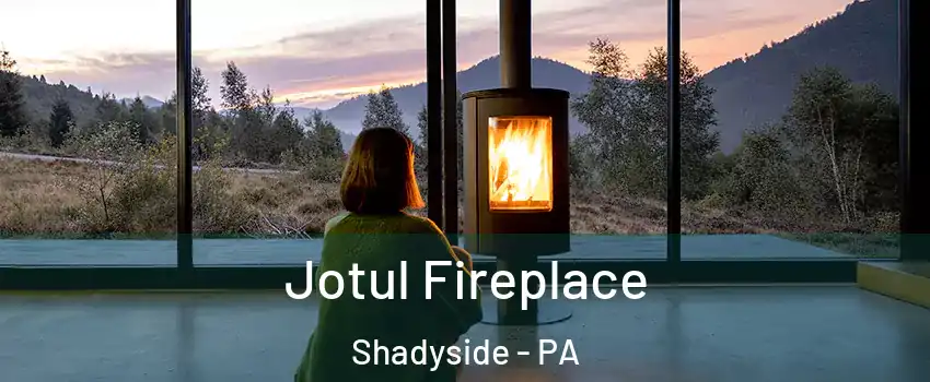 Jotul Fireplace Shadyside - PA