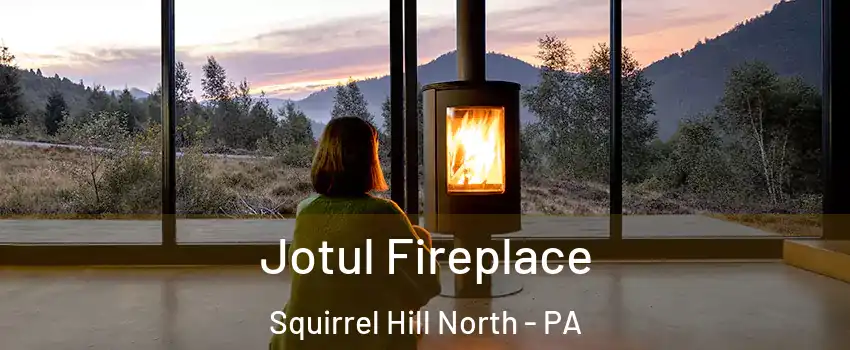 Jotul Fireplace Squirrel Hill North - PA